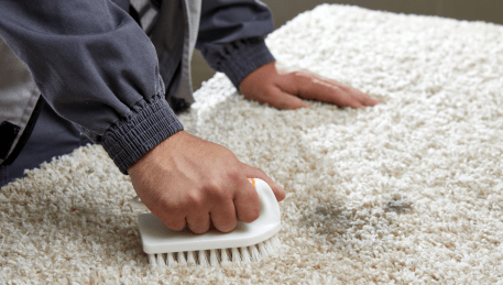 Professional Rug Cleaning St Kilda